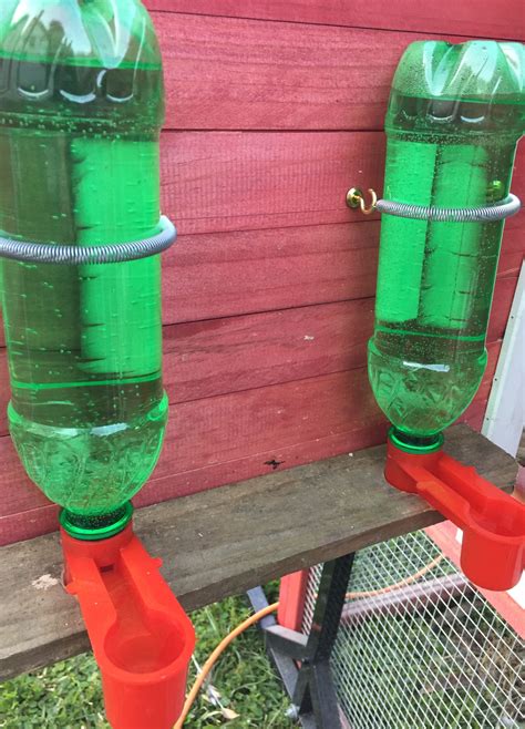 Homemade Chicken Waterer Ideas