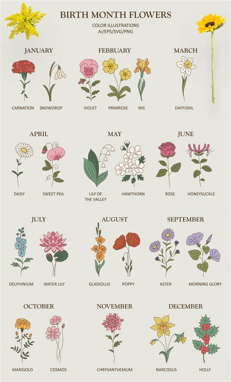 Birth Month Flowers And Meanings Chart