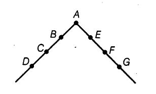 Identify the principles of management violated in the following cases ...