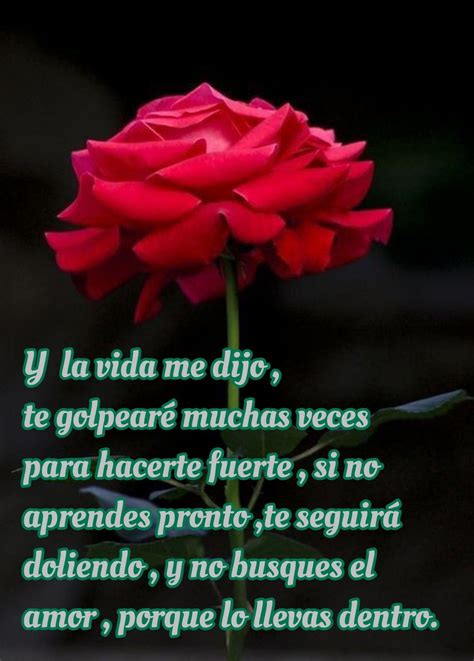 Vea los detalles de la imagen relacionada. 32 ideas de Rosas y más | rosas hermosas con frases, piropos de buenos ...