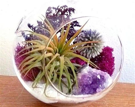 Fête des mères en famille 💖Jardin de cristaux et Air Plant 🌿💖, 140 8e ...