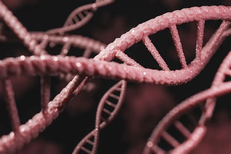 Is Eczema Genetic What The Research Says About Causes And Triggers