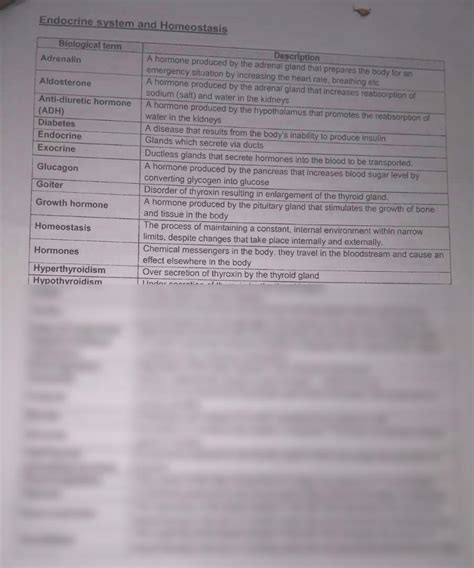 Image result for Endocrine System Grade 12 Lesson