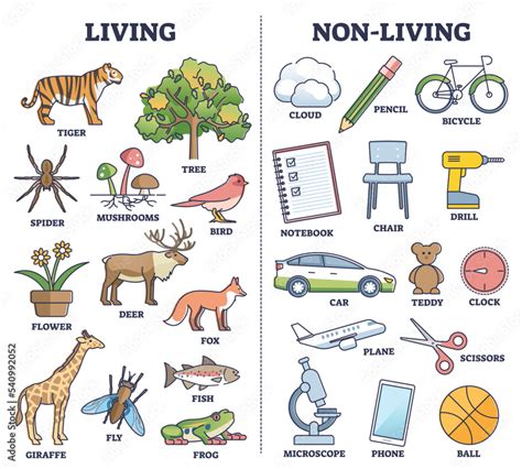 Living vs non living things comparison for kids teaching outline ...