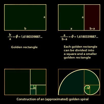 The fascination with the Golden Ratio | Meer