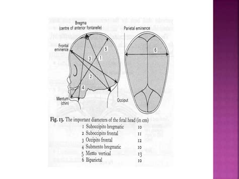 Mechanism of labour | PPT