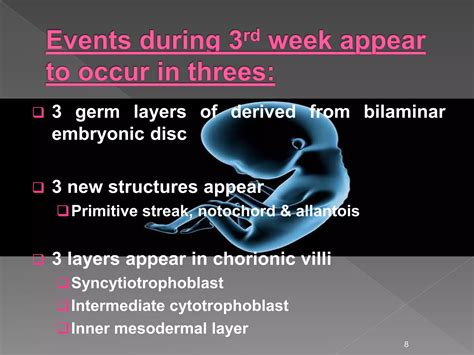 Image result for Third Week Development of Embryo