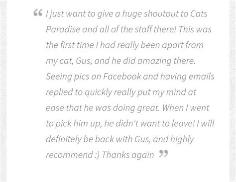 can u give me cats paradise sumaryfast.. - Brainly.in