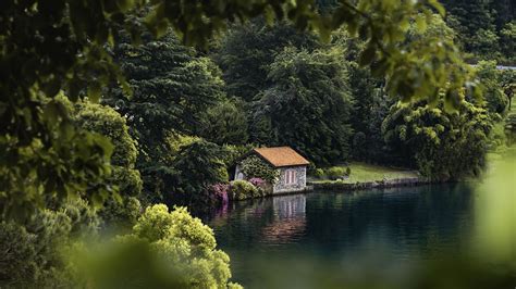 Wallpaper house, lake, trees, comfort hd, picture, image