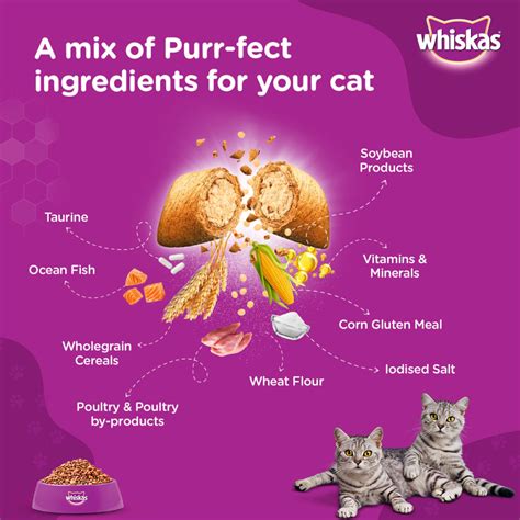 Buy Whiskas Ocean Fish Flavour Adult Cat Dry Food Online | Supertails