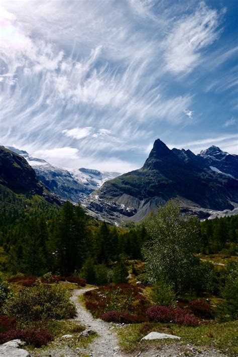 Image result for Labradoodle