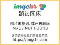 郑州网站优化:搜索引擎优化提升企业品牌知名度。_指尖跳动