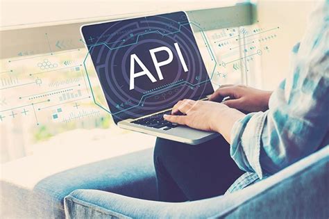 API Programmer's 的图像结果