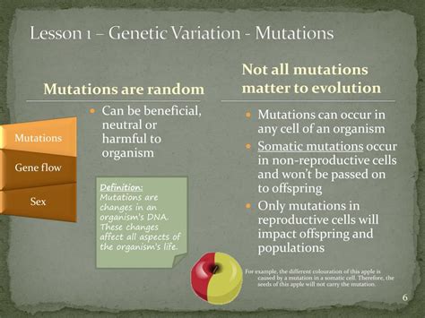 Genetic Modification Variation Definition 的图像结果