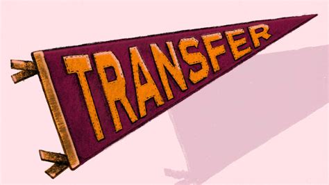 Image result for Transfer Org