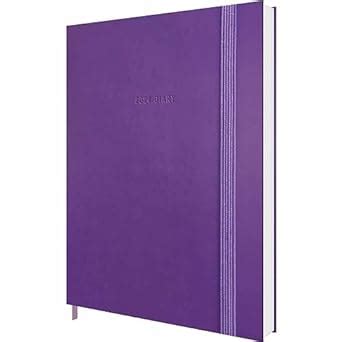 Purple Soft Touch Pocket Diary 2024: A Critical Approach to Practice ...