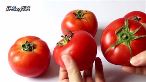 致富经：五彩小西红柿好看又好卖！一亩能挣数万元！_番茄