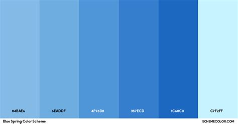 Image result for Blue Color Spring Balance