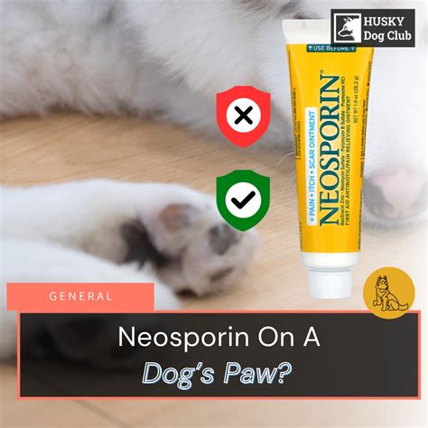 Can You Use Neosporin On Dogs