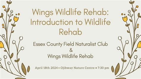 Wings Wildlife Rehab: Introduction to Wildlife Rehab, Ojibway Nature ...
