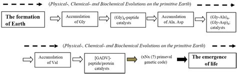 Evolutionary Steps in the Emergence of Life Deduced from the Bottom-Up ...