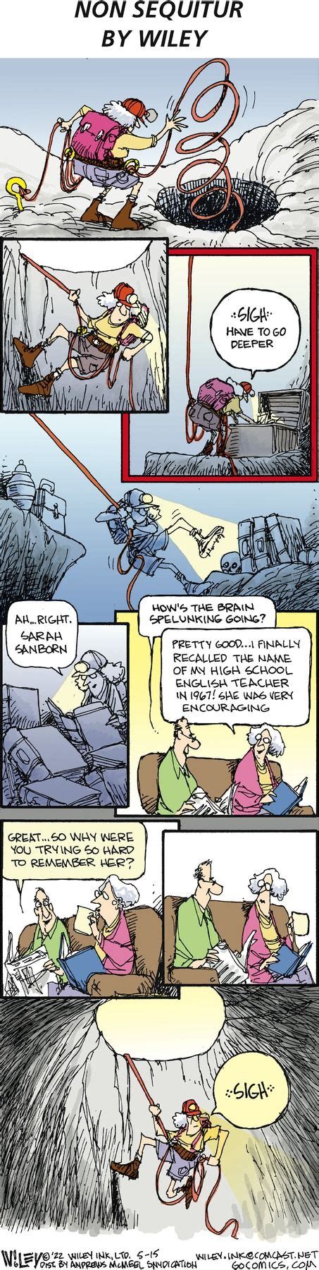 Image result for Example of Non Sequitur