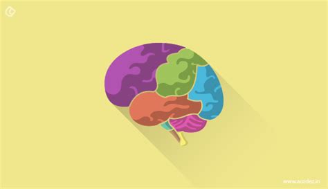 13 Tips for Hiring a Web Development Firm for Designing an E-Commerce ...