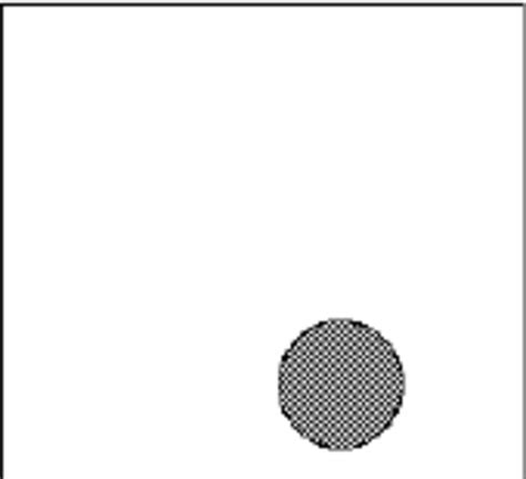 Image result for Vision Experiment