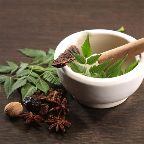 Importance of Ayurveda & Ayurveda Based Products in Keeping You Health ...