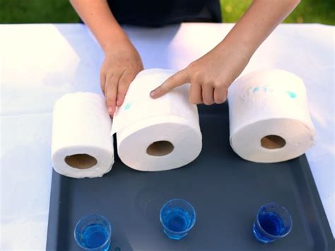 Image result for Toilet Paper Science Fair Projects