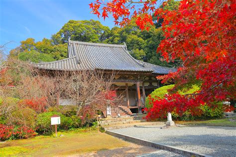 長岳寺 紅葉