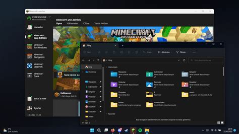 Windows 11 Setup 的图像结果