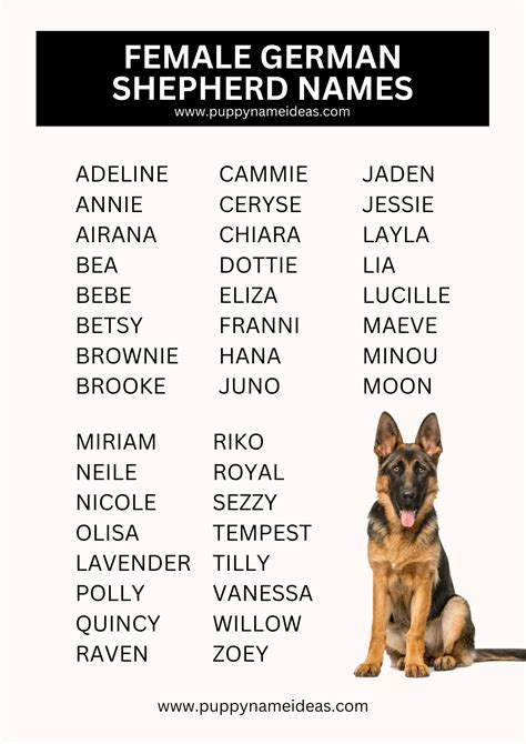 380+ German Shepherd Names (With Meanings)