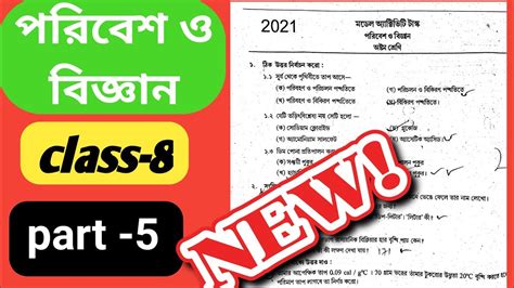 Model Activity Task Class 8 Part 5 的图像结果