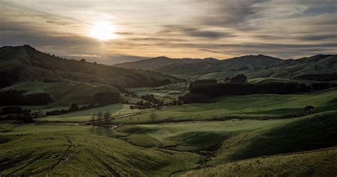 Matahuru Valley Walk | Activity in Waikato, New Zealand