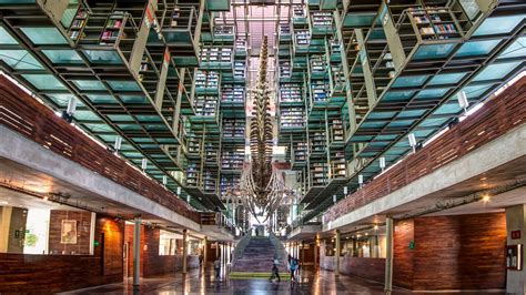 Image result for Alien Hight
