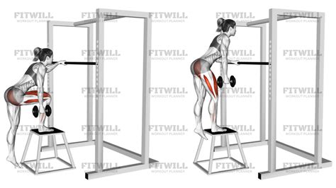 Dumbbell Step-Ups: Full Guide For Women – JCDAT