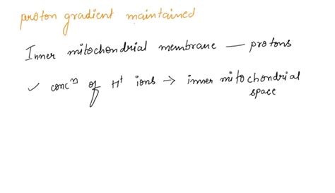 Image result for Proton Gradient
