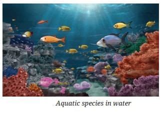 The Amazing World of Solutes, Solvents, and Solutions Chapter Notes ...