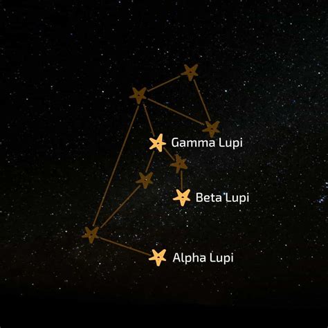 Lupus Constellation - Starlust