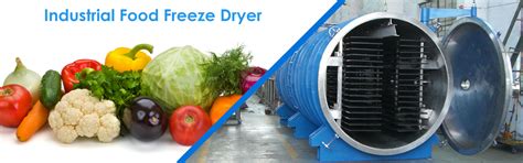 Manufacturer | supplier | food freeze dryer | pharma freeze dryers| Chennai