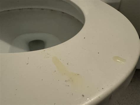 Made a little mess at work : r/ToiletHumiliation