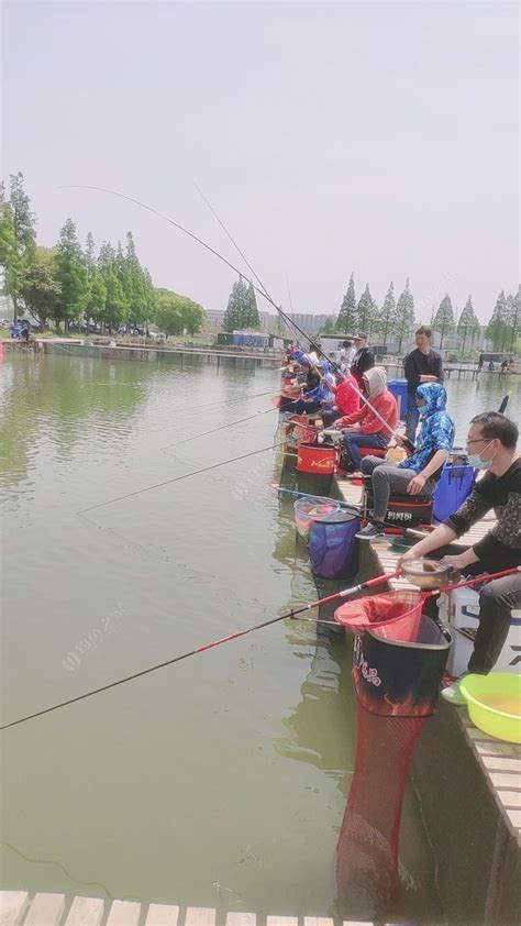 2019钓鱼之家镇江地区钓友联谊会（第九次钓鱼比赛） - 钓鱼之家