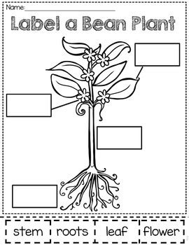 Image result for ImageTag Labeled HTML