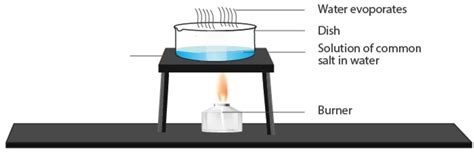 SATHEE: Is Matter around Us pure