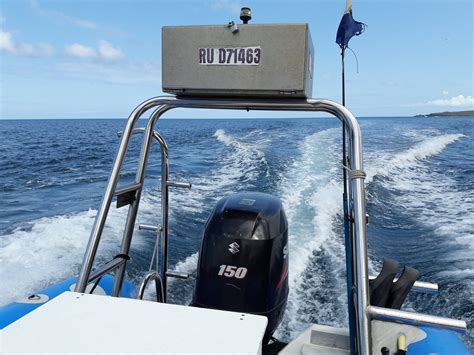 POA DIVE (2026) All You Need to Know BEFORE You Go (with Photos ...