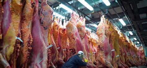 Image result for Beef Processing Process