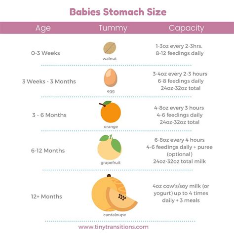 Baby Stomach Size Chart | Baby growth chart, Baby month by month, Baby ...