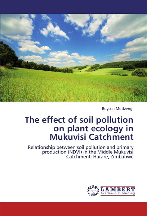 Buy The effect of soil on ecology in Mukuvisi Catchment: Relationship ...