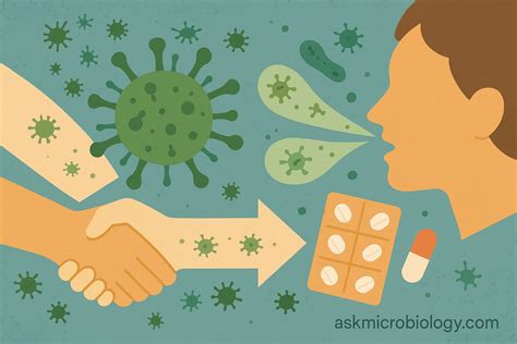 Bacterial Tonsillitis Spread Illustration | Ask Microbiology